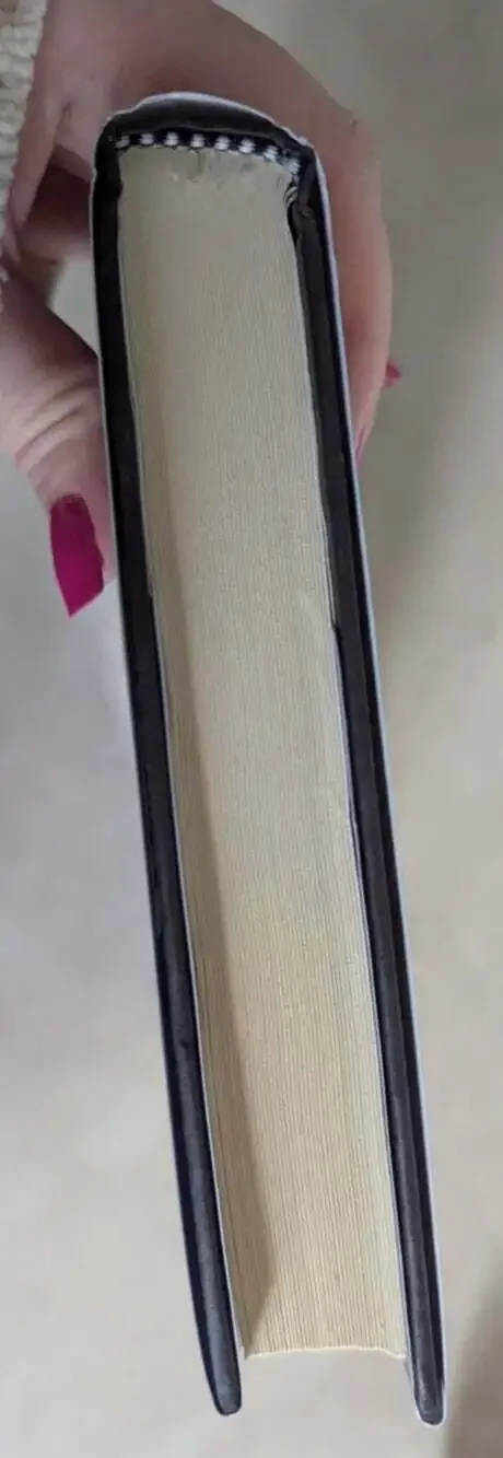 Wicked Business A Lizzy and Diesel Novel by Janet Evanovich First Edition